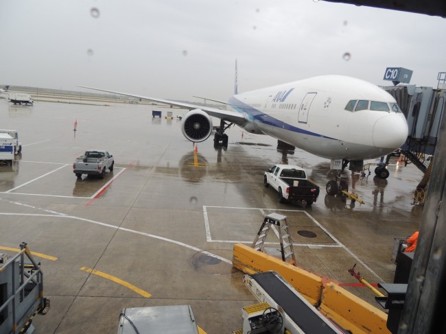 ANA 777-300 to Tokyo