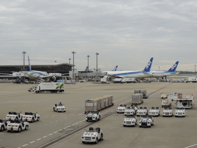 Views of ANA Aircraft in Tokyo