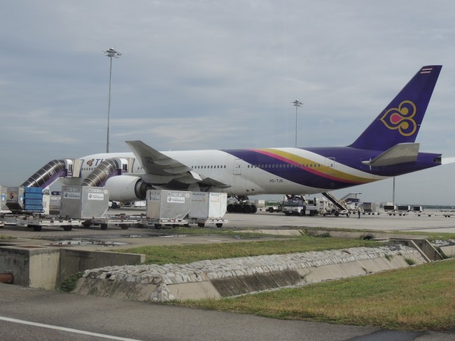 Our Thai Airways 777-200 Taking Us to Bali