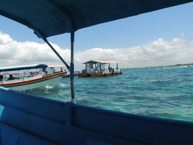 Snorkeling Spot