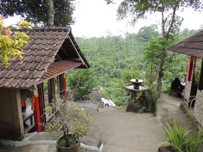 View from the Spice Garden