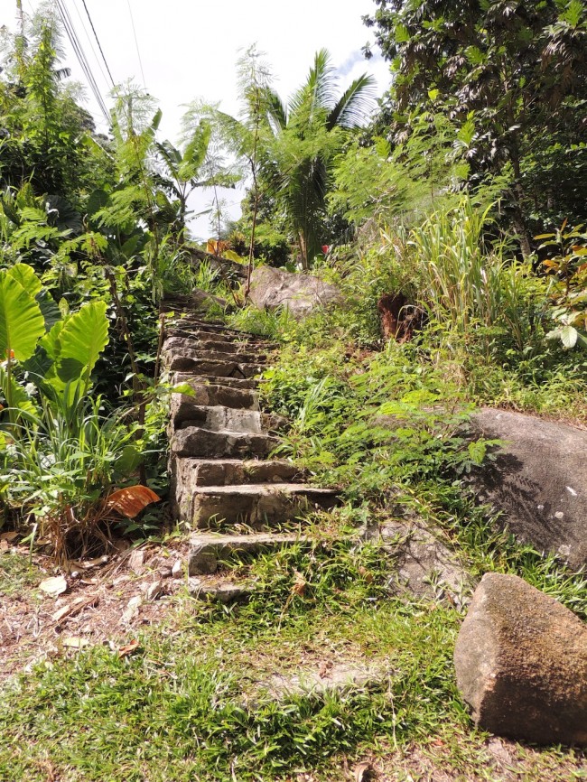 Beginning of the Hike to Anse Major