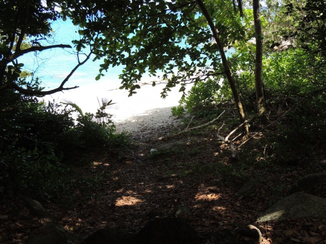 Coming down the Mountain to Anse Major