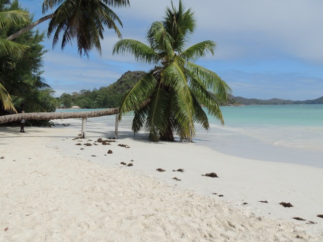 Côte d'Or Beach Praslin