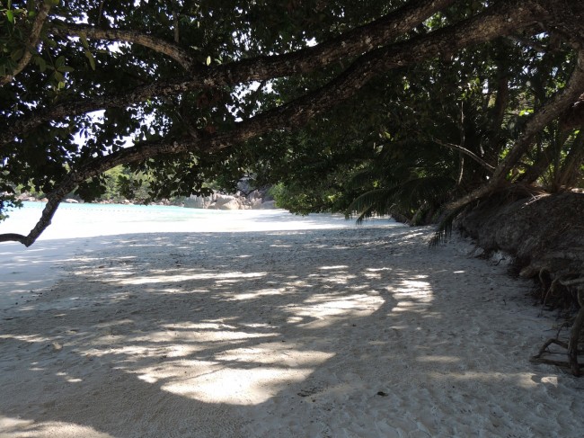 Anse Lazio, Praslin