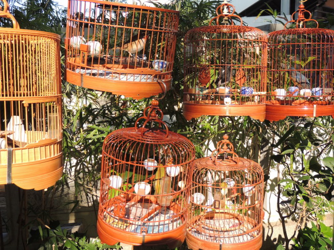 Hong Kong Bird Market